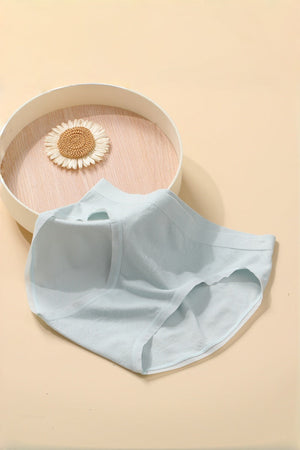 Seamless Modal Brief Panty | Soft Second-Skin Mid-Rise My Favorite Bra